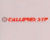 Logo-TALLER SYP